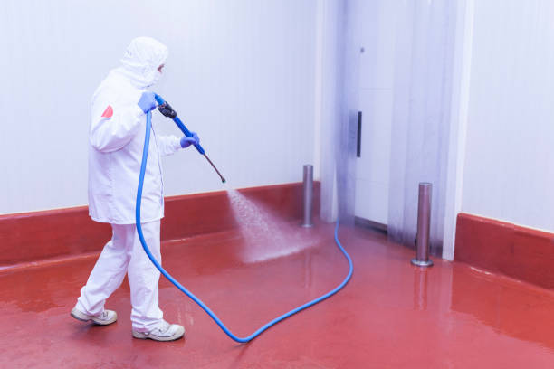 Best Restaurant Pressure Washing  in Bellport, NY
